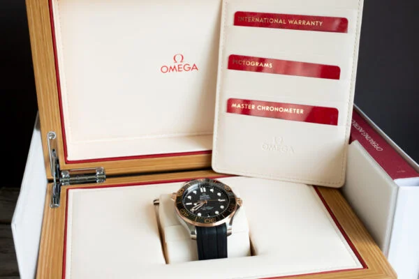 OMEGA Seamaster 300M Sedna Gold & Steel Watch 210.22.42.20.01.002