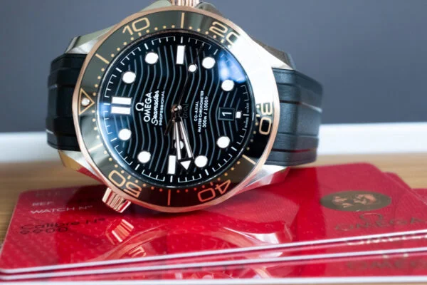 OMEGA Seamaster 300M Sedna Gold & Steel Watch 210.22.42.20.01.002