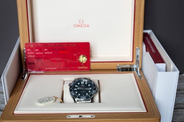 OMEGA Seamaster Diver 300M Black Watch 210.30.42.20.01.001