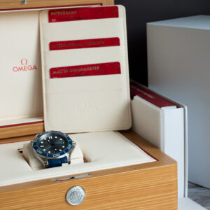 OMEGA Seamaster Diver 300M Grey Watch