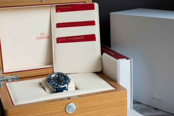 OMEGA Seamaster Diver 300M Grey Watch