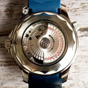 OMEGA Seamaster Diver 300M Grey Watch